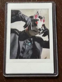 2026年最新】オーメンズチェキの人気アイテム - メルカリ