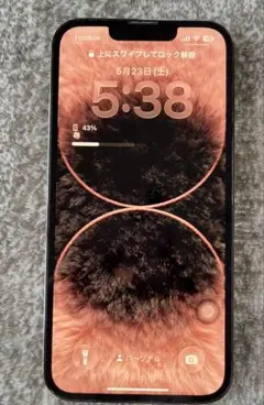 iPhone 13 Promax 512gb バッテリー93% SIMフリー - メルカリ