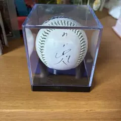 2026年最新】山田哲人 直筆サインの人気アイテム - メルカリ