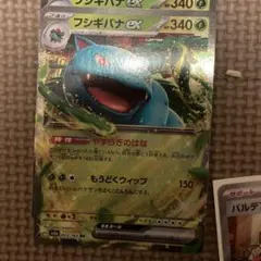 フシギバナEXセット ポケモンカードゲーム（多彩）