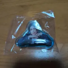 エーステ アクリルクリップ ガイ