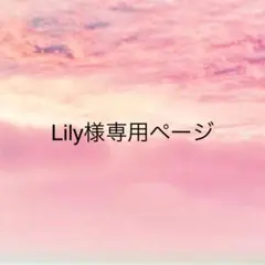 Lily様専用ページ