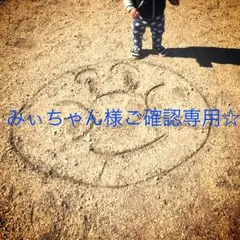 みぃちゃん様ご確認専用ページ☆筆文字デザインオーダー