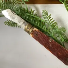 Item thumbnail for item 78d654f0-f7c1-4394-8418-1afaa08bc3a2