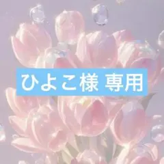 ひよこ様 リクエスト 3点 まとめ商品