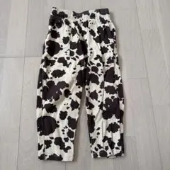 Item thumbnail for item a6899535-4960-4872-8c77-422b9d173a8c