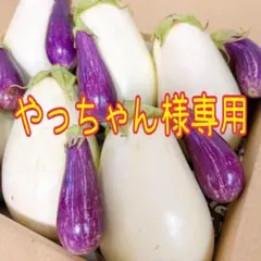 やっちゃん様専用です。