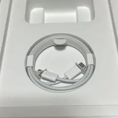 Apple純正 USB-C 充電ケーブル  1m