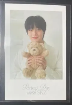 straykids スキズ アイエン トレカ シーグリ