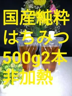 希少!国産天然はちみつ鹿児島県南薩摩養蜂園蜂蜜計1kg開聞岳・紫尾山 