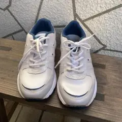 Item thumbnail for item 388477c5-75f7-42f2-944d-bdb93e1940fc