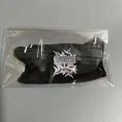 Stray Kids アプグレ特典 SKZOO ぬい服