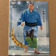 Item thumbnail for item d3aecbcd-a9ed-406b-90da-f335dee1d2e5