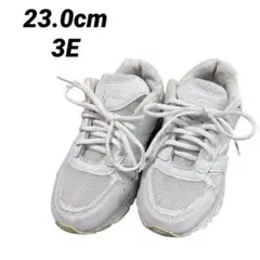 Item thumbnail for item d1495e65-0f51-405e-a7fa-563146e2ca3b