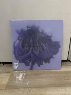 2025年最新】踊ってばかりの国 lpの人気アイテム - メルカリ