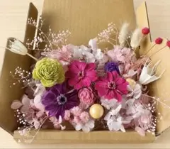プリザーブドフラワー　ジニアセット A75/505 薄花 ジニアのプリザーブドフラワー 花材セット 詰め合わせ