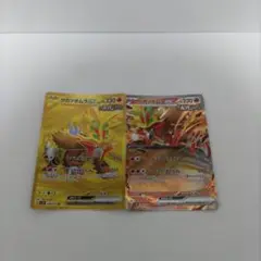 ウガツホムラex ur