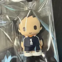 ハイキュー　ぱぺマス　澤村大地