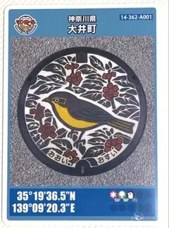 Item thumbnail for item 27e931f1-997c-4296-882e-774d7aaa0118