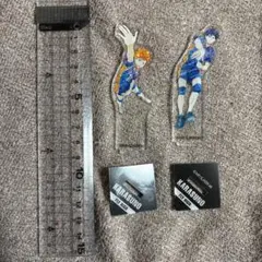 ハイキュー!! Ani-Art アクリルスタンド vol.3 日向翔陽　影山飛雄