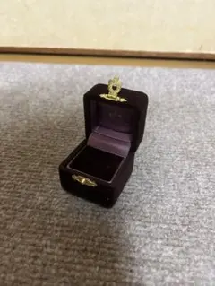 ete リングケース