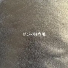 ポロ ラルフ ローレン ペイントスプラッター コットン シャツ