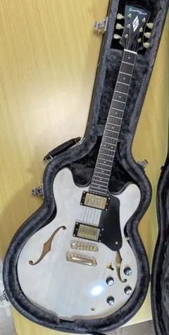 12386】SCHECTER WAYNE HUSSEY 12弦ギター - メルカリ