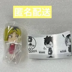 ハイキュー!! 孤爪研磨 こっちむいてFig.