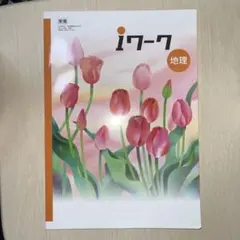 iワーク 地理 学習参考書のサムネイル