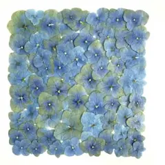 WFlowersかおり様 リクエスト 3点 まとめ商品