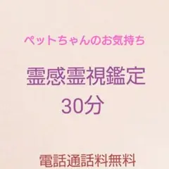 霊感霊視鑑定 30分 ペットちゃんのお気持ち拝見致します