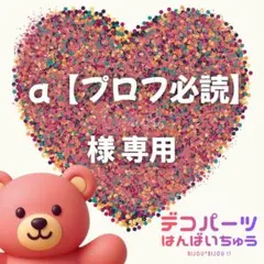 a【プロフ必読】 様　専用ページ