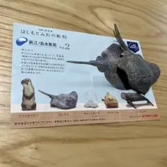 はしもとみおの彫刻　新江ノ島水族館　ホシエイ