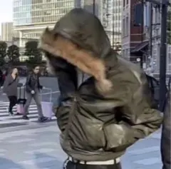 n-2b ダウンジャケット