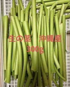 茎　生パパイヤ茎　沖縄産　300g 小動物のおやつのサムネイル