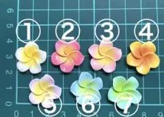 プルメリア　パーツ　花