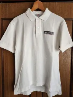 Item thumbnail for item 39523444-844c-4e43-9aae-2647c93a2222