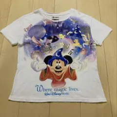 ファンタジアミッキー パーク Tシャツ Mサイズ ヴィンテージ