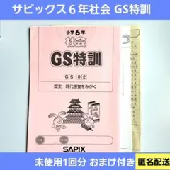 2026年最新】sapix gsの人気アイテム - メルカリ