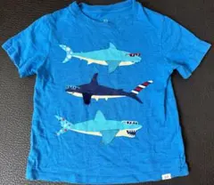 baby GAP サメプリント Tシャツ 5歳用