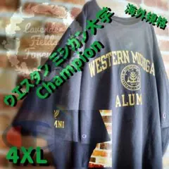 【チャンピオン】Tシャツ ビッグシルエット カレッジ 刺繍ワンポイントロゴ 古着