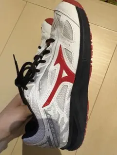 Mizuno Wave Exceed Tour 2 テニスシューズ
