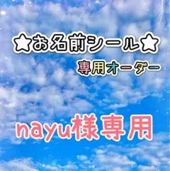 ＊＊＊nayu様専用＊＊＊