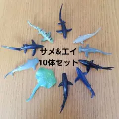 サメ フィギュア 10体セット