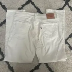 Item thumbnail for item 77e0f9e4-3f3c-464b-a6c8-726c0060e9da