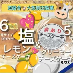 ③⭐️塩レモンチーズケーキ６号 ◯クリーミーチーズケーキ５号 セットのサムネイル