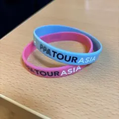 ピックルボール