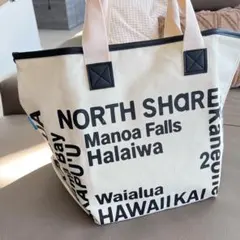 Item thumbnail for item 35cfccb7-0d41-4059-a908-b1eaaf877fa9