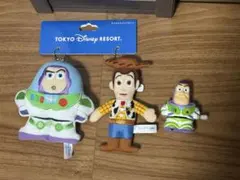 ウッディとバズ・ライトイヤー ぬいぐるみバッジセット　ディズニー　東京ディズニー