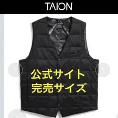 TAION タイオンダウンジレ